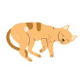 Sleeping yellow cat with brown spots, hand drawn vector illustration